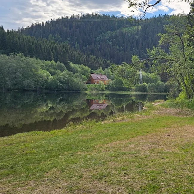 Badeplass ved Nidelva med gressplen og redningsbøyle