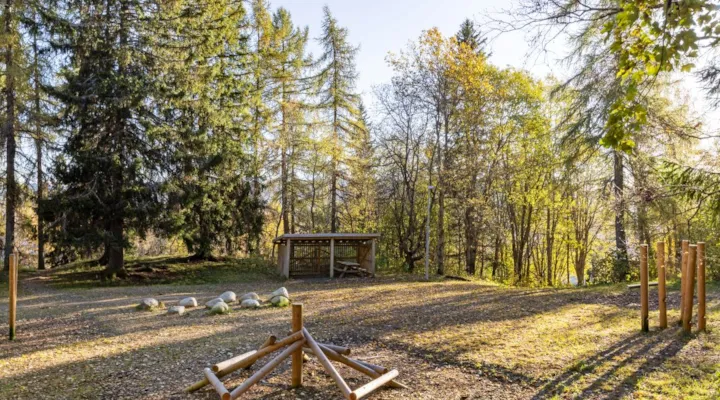 Gapahuk og klatrestativ i skogen