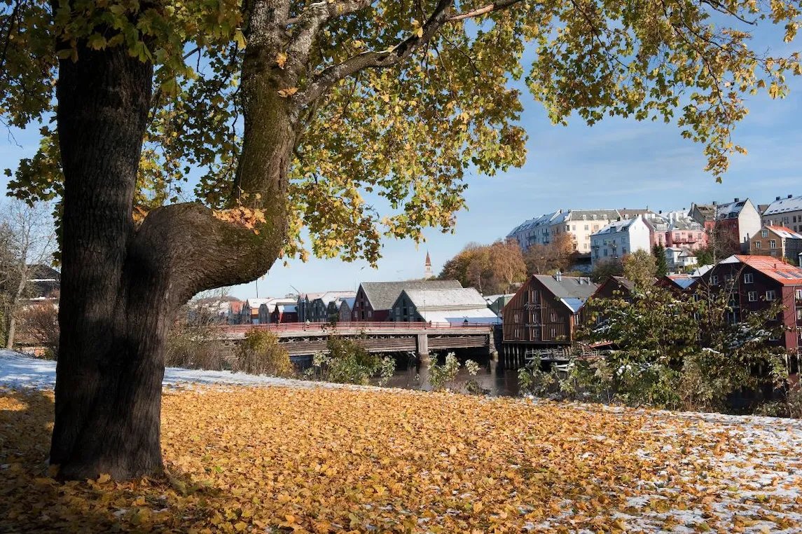 bispeparsellen