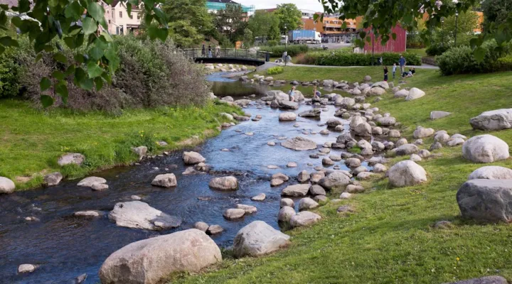 Iladalen park