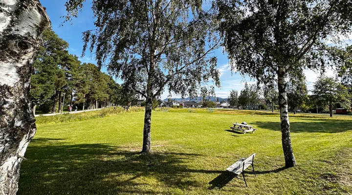Persaunet park