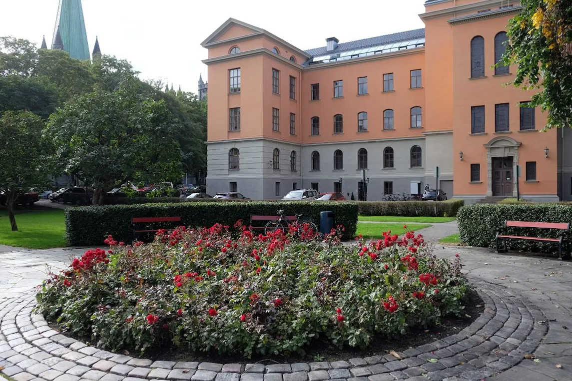 Rådhusparken
