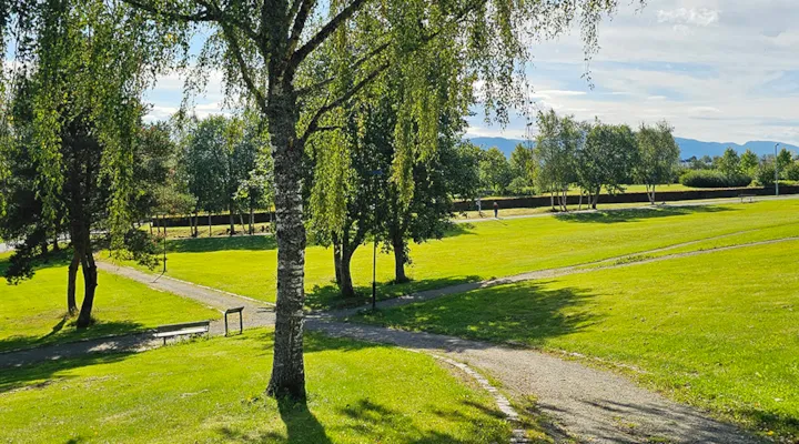 Saupstad park