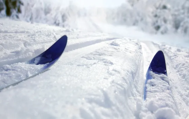 Et par ski i et oppkjørt skispor