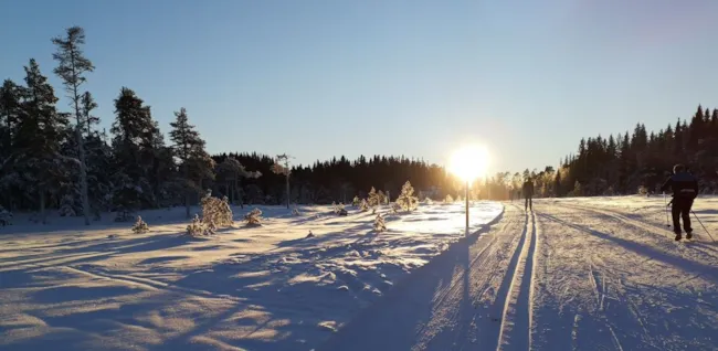 Sol over skiløype