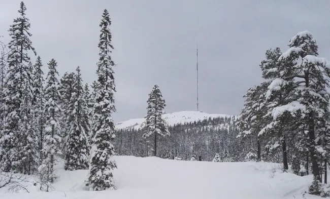 Fjelltopp med mast i snødekt skog