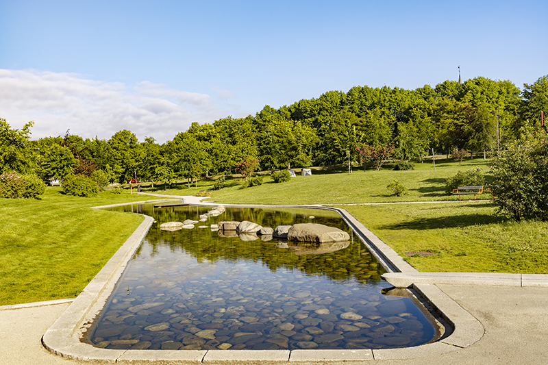 vanndam i Ladeparken