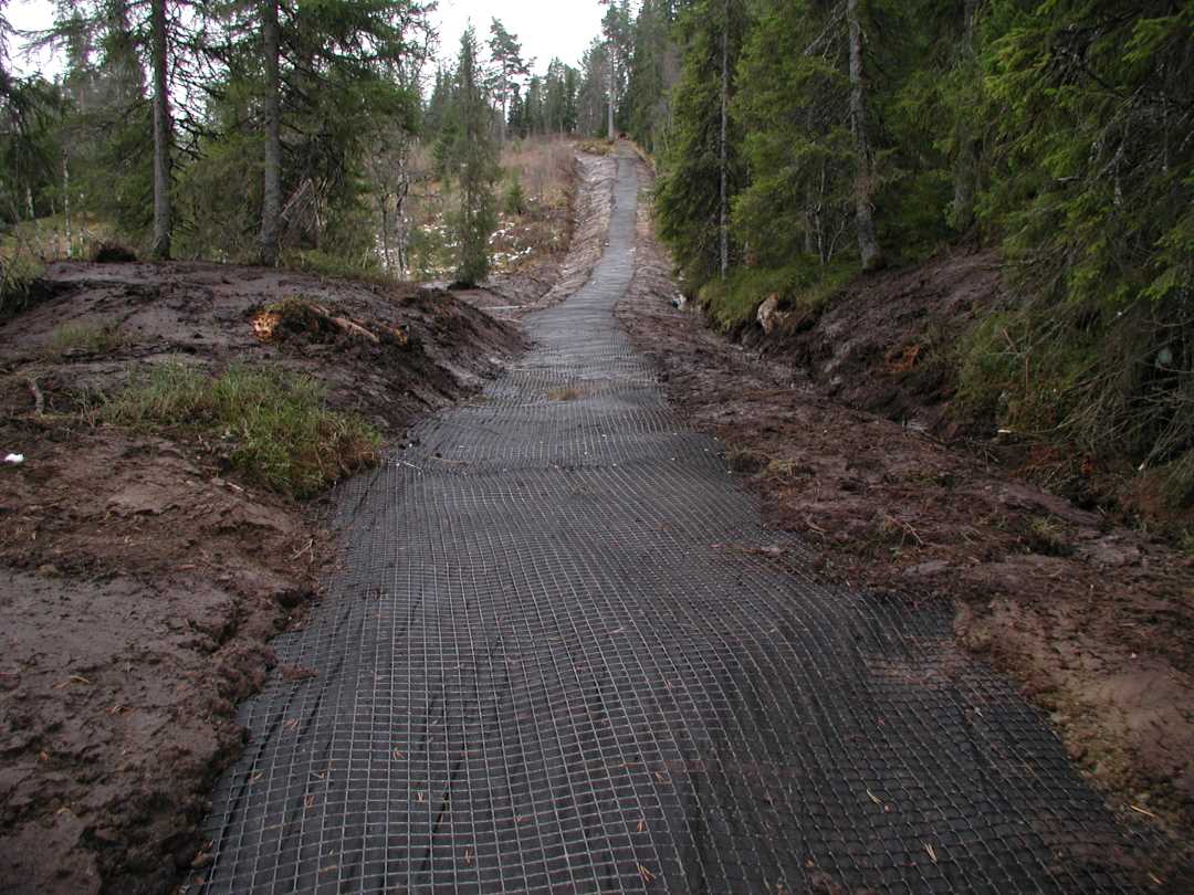 Sti fra Fjellseter til Kobberdammen