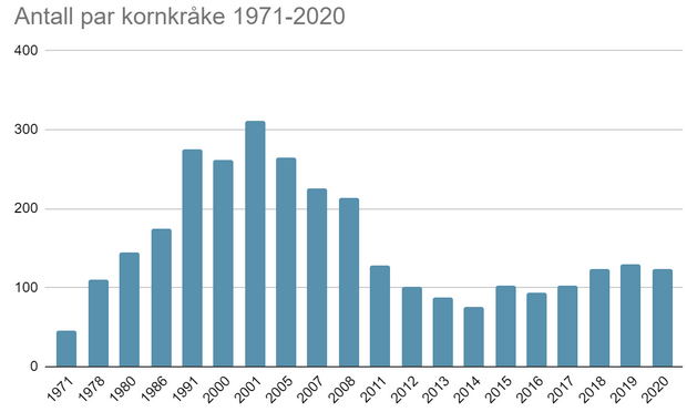 Antall hekkende kornkråkepar i Trondheim i perioden 1971-2020.