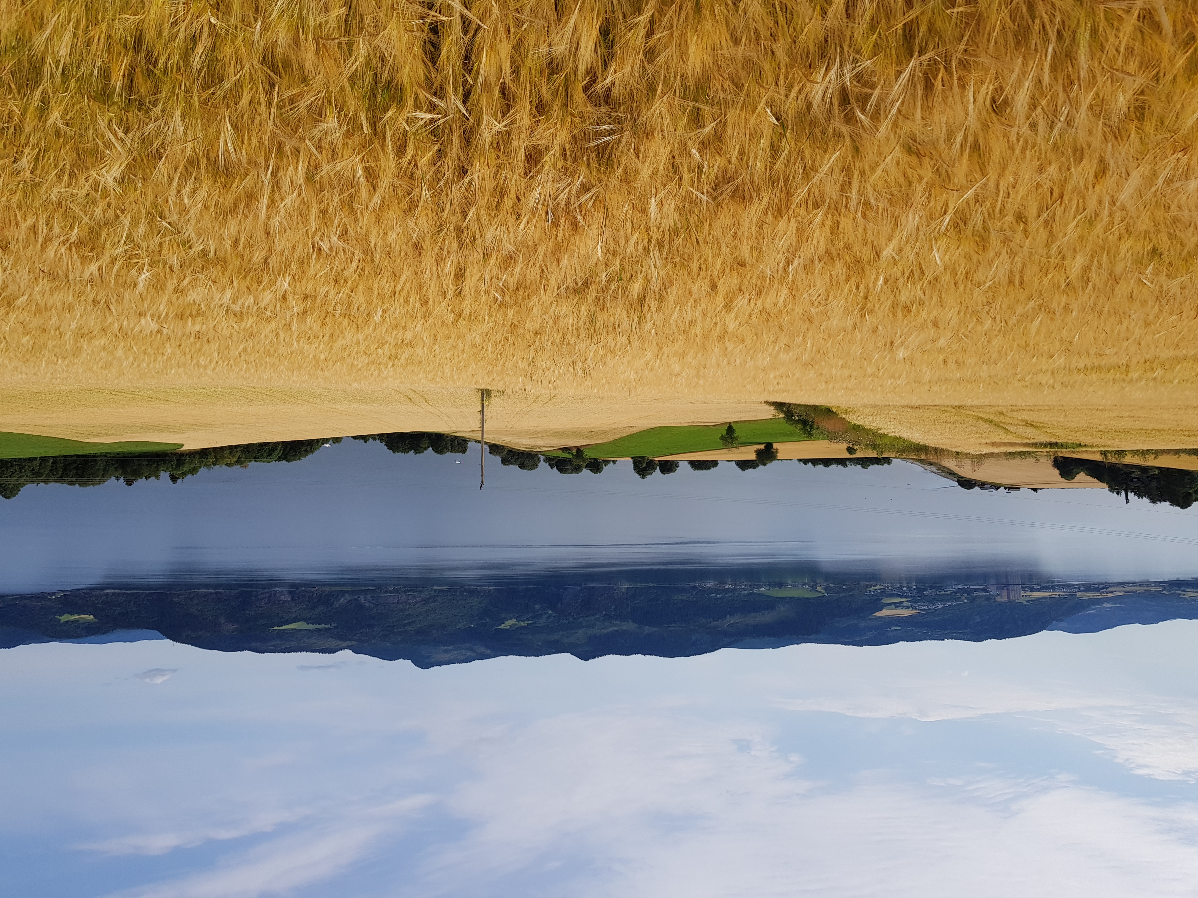En gressmark med vann og fjell bak seg