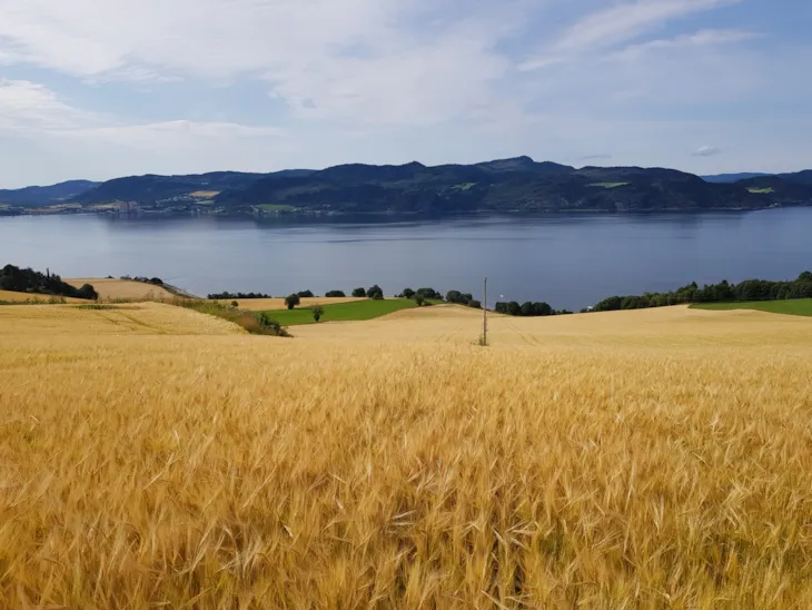 En gressmark med vann og fjell bak seg