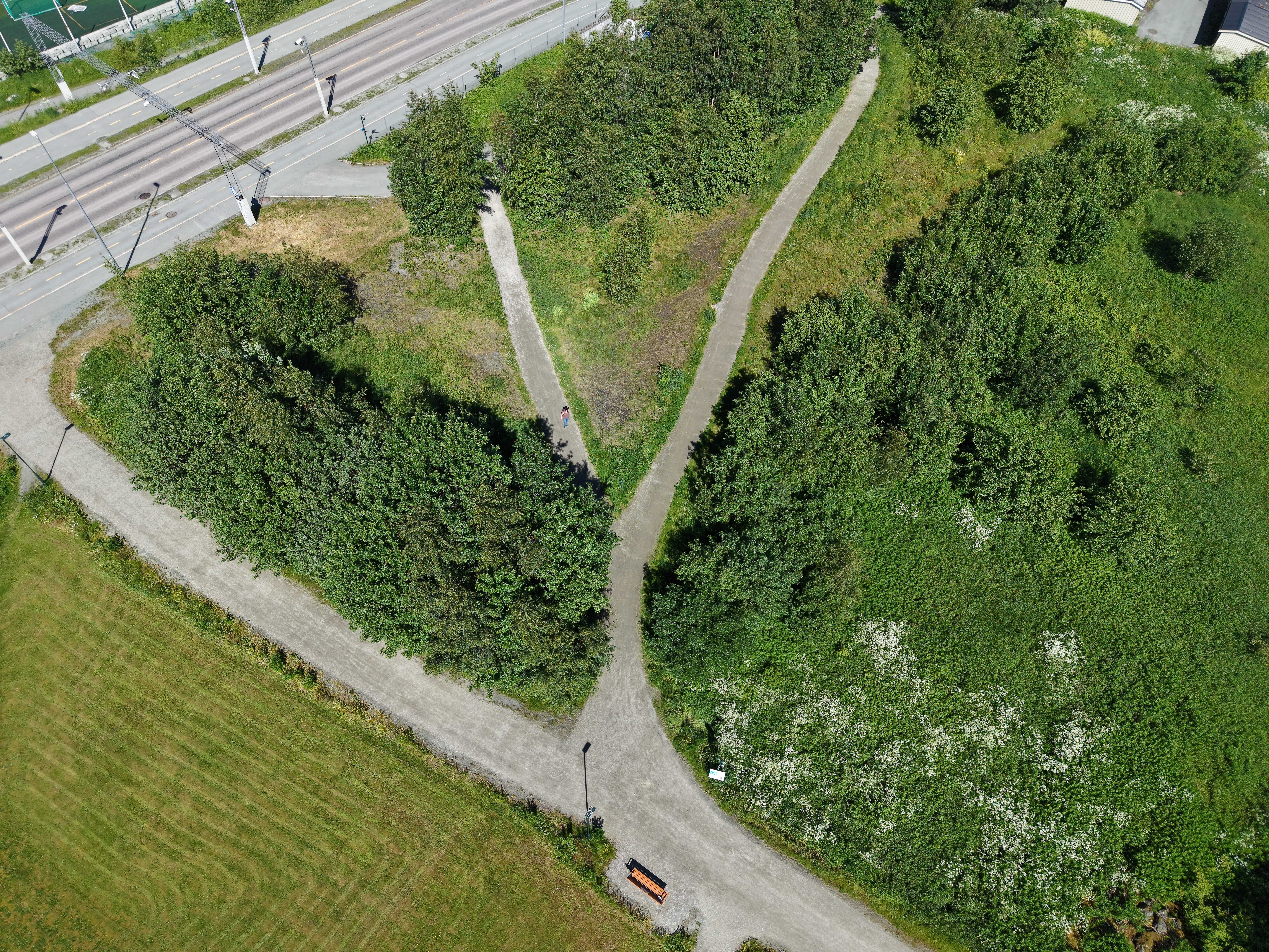 Foto: Trondheim kommune