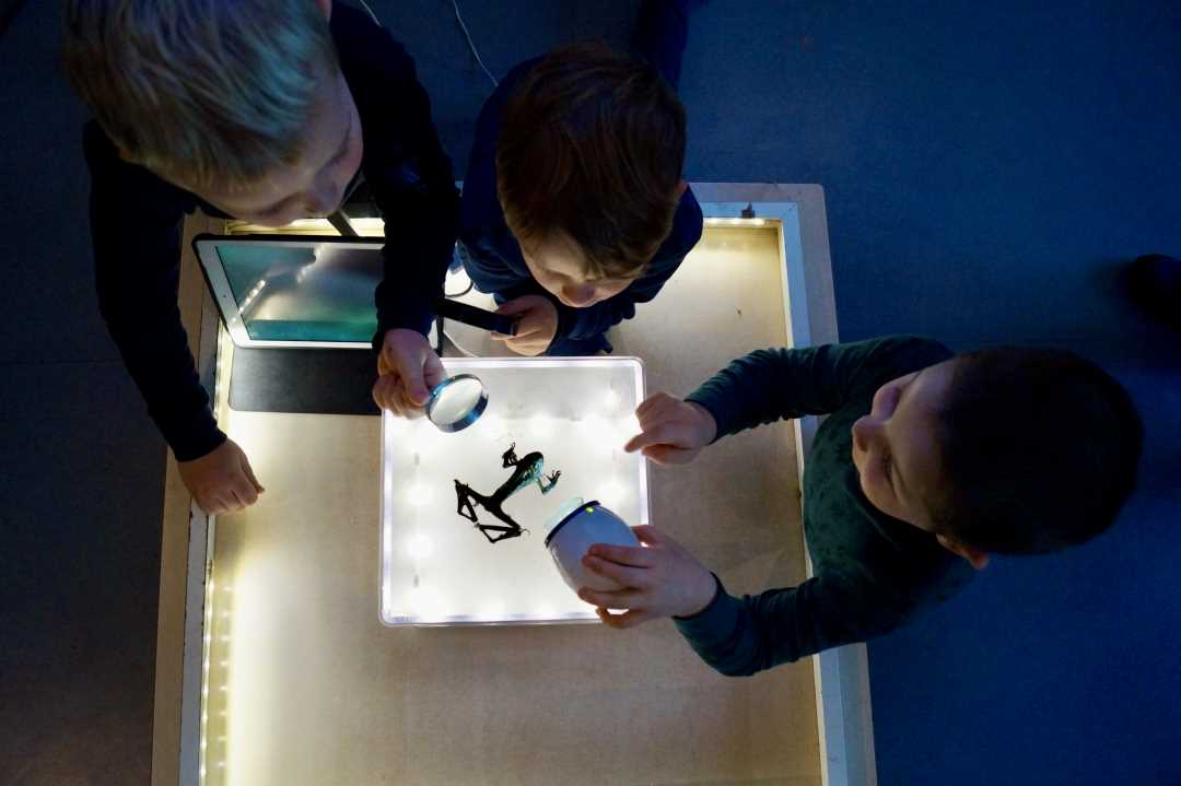 Tre barn som studerer en frosk som ligger på et glassbord.