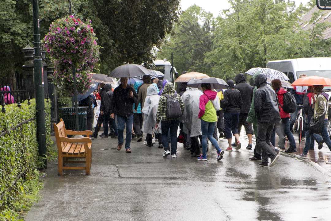 Foto av en gruppe mennesker i regnværet med paraplyer