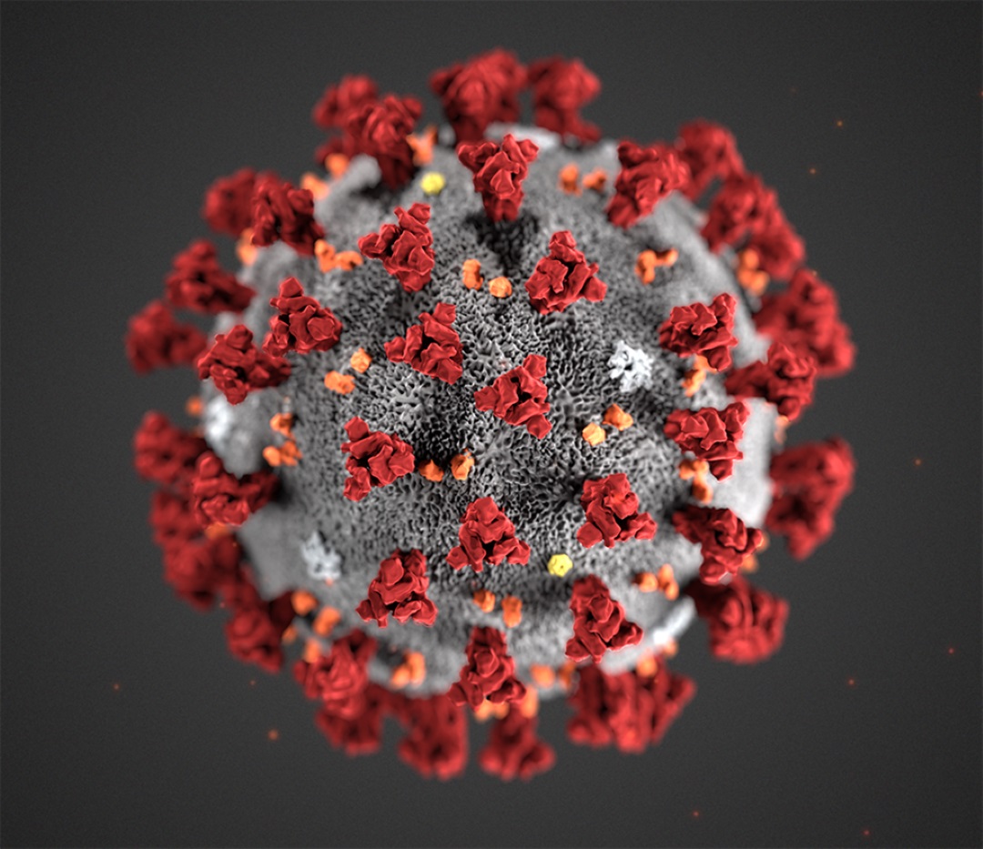 Mikroskopbilde av koronavirus.